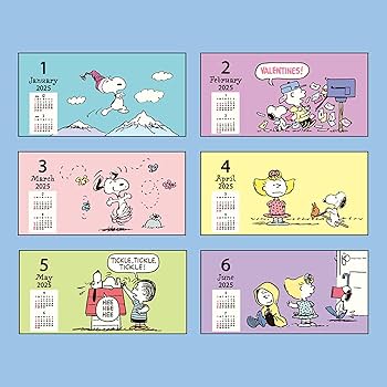 Amazon.co.jp: サンリオ(SANRIO) ウォールカレンダー 横 2025年